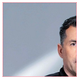 A group shot of Scooter that has been cropped