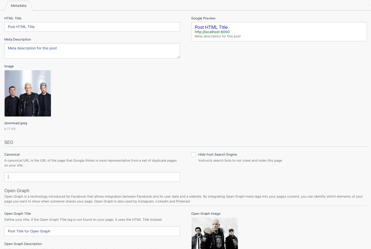 The meta fields as shown with a custom plugin